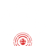 low back pain