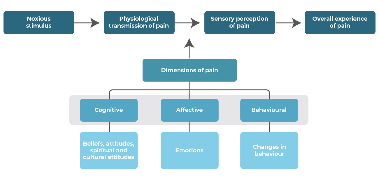 pain-dimensions-schema