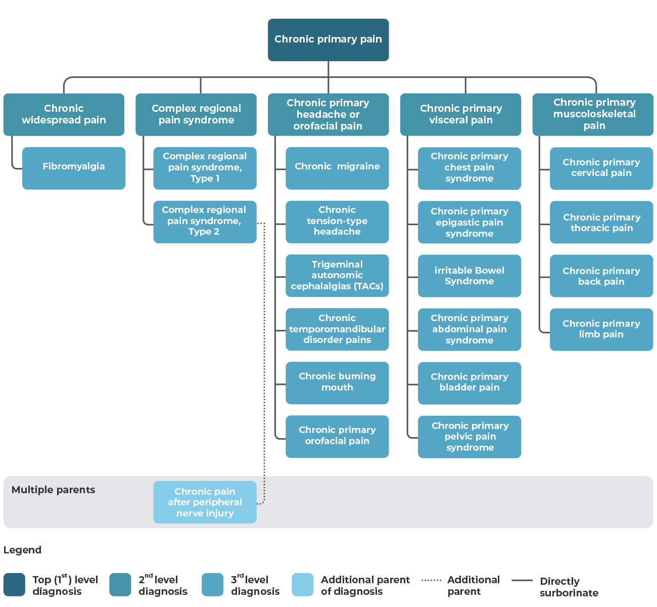 classification of chronic primary pain